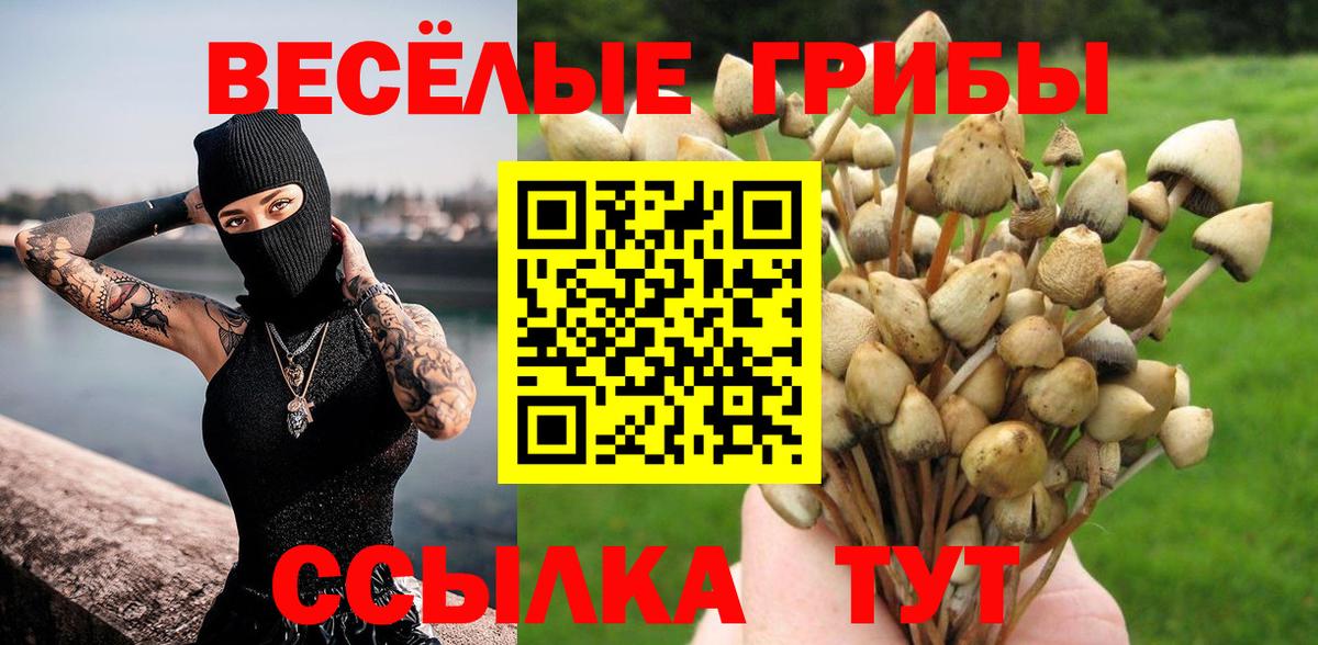 Галлюциногенные грибы мухоморы Гусиноозёрск